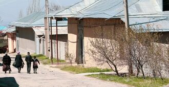 Узбекская модель сокращения бедности