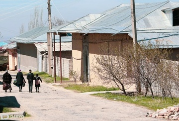 Uzbek model of poverty reduction