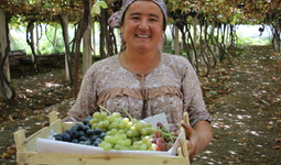 Government of Japan provides 1 million USD for UNDP to promote the climate-resilient development in Fergana valley, to contribute to the country’s pathway for achieving net-zero emissions