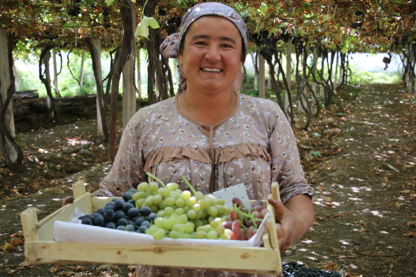 Government of Japan provides 1 million USD for UNDP to promote the climate-resilient development in Fergana valley, to contribute to the country’s pathway for achieving net-zero emissions