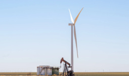 Trump Is Cementing the Green Energy Transition He Loathes