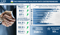Infographic: Entrepreneurship Development in Uzbekistan in 2024