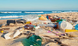 Как наша повсеместная зависимость от пластика влияет на климат?