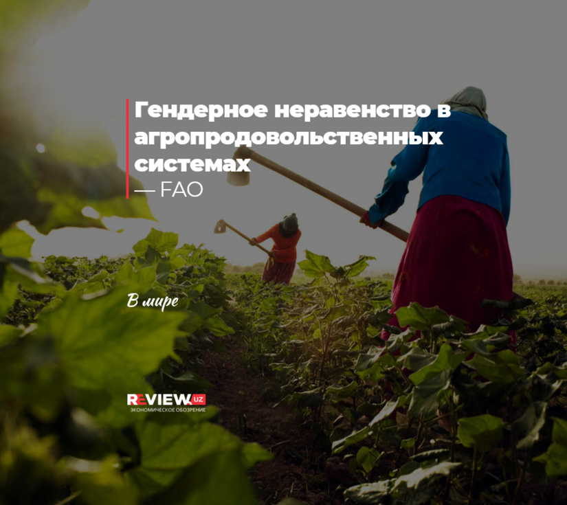 Гендерное неравенство в агропродовольственных системах Гендерное неравенство в агропродовольственных системах