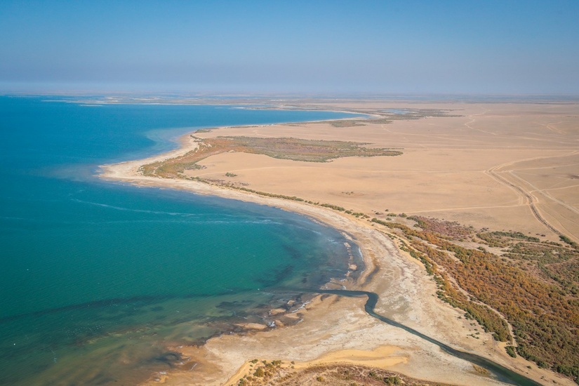 2024 йилда Ўзбекистонда сув ресурсларининг ҳолати