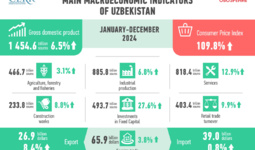 Economic Development of Uzbekistan in 2024