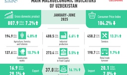 Economic Development of Uzbekistan in the 1st Half of 2025