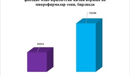 2022 йил 1-ярим йилликда Жиззах вилояти ялпи ҳудудий маҳсулотида кичик бизнес ва тадбиркорлик субъектларининг улуши