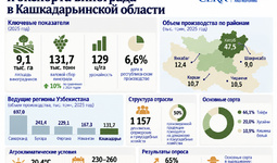 Qashqadaryoda uzum yetishtirish va eksport salohiyati baholandi