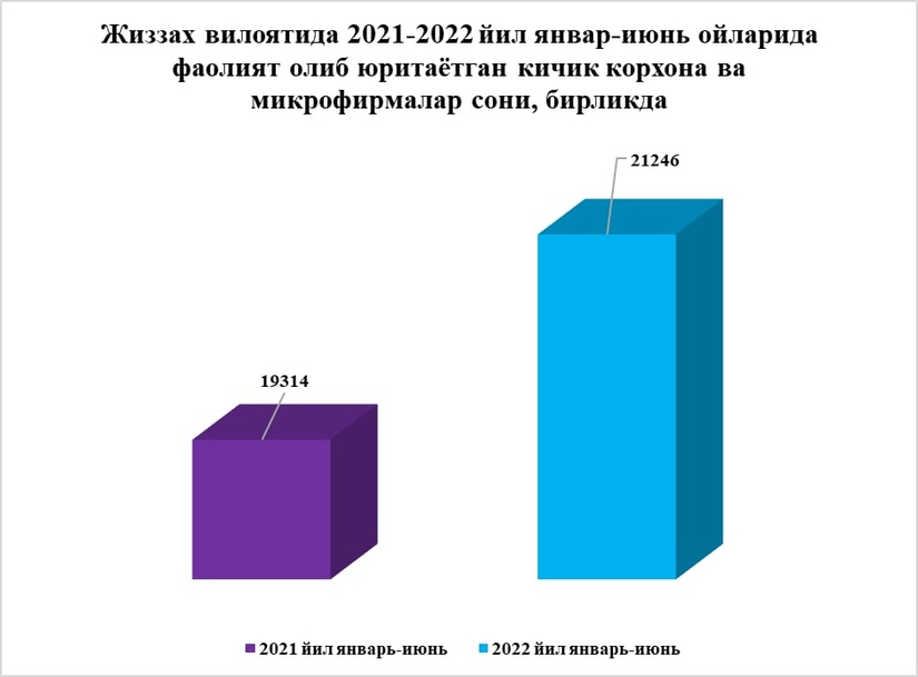 2022 йил 1-ярим йилликда Жиззах вилояти ялпи ҳудудий маҳсулотида кичик бизнес ва тадбиркорлик субъектларининг улуши