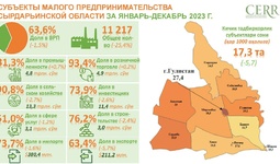 Деятельность субъектов малого бизнеса Сырдарьинской области за 2023 год