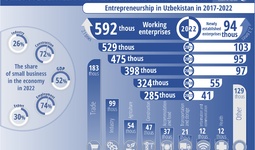 Infographics: Entrepreneurship development in Uzbekistan in 2017-2022