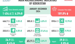 Economic Development of Uzbekistan in 2024