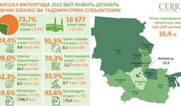 2023 yil yanvar-dekabr oylarida Jizzax viloyatida kichik tadbirkorlik sub’yektlari faoliyati tahlili