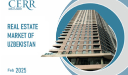 Real Estate Market Resilience Amid Declining Activity – CERR Overview