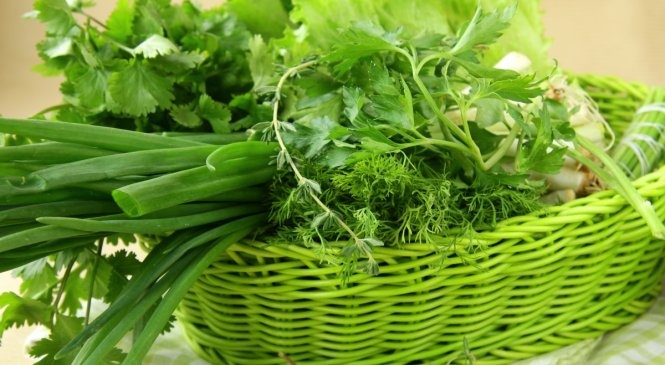 O‘zbekiston Rossiyaga eng yirik ko‘kat yetkazib beruvchi mamlakatga aylandi O‘zbekiston Rossiyaga eng yirik ko‘kat yetkazib beruvchi mamlakatga aylandi