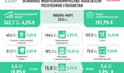 Развитие экономики Узбекистана в I квартале 2024 г.