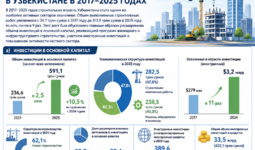 Инфографика: Развитие строительной отрасли в Узбекистане в 2017–2025 годах