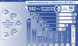 Инфографика: Развитие предпринимательства в Узбекистане в 2017-2022 гг.